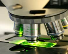 Slider image (7) Embryos | IVF Fertility Mexico